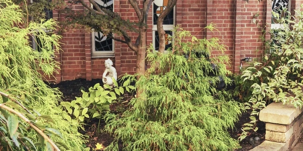 Ohio Hospital for Psychiatry